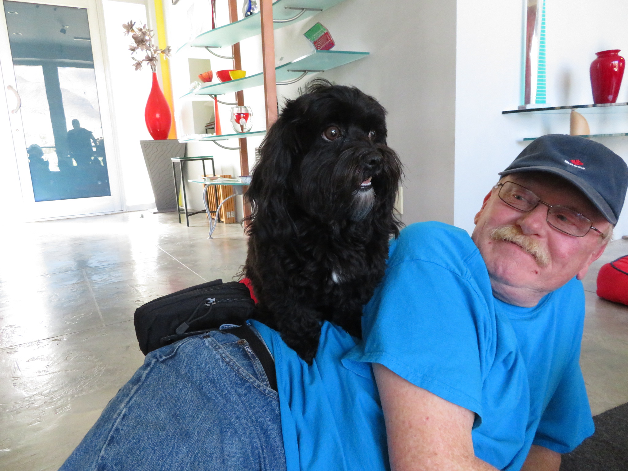 a black dog leaning on a man wearing a blue shirt, eyeglasses, and a hat