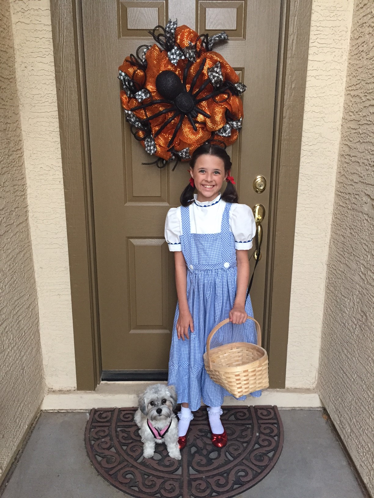a girl in a Dorothy costume standing next to a little dog