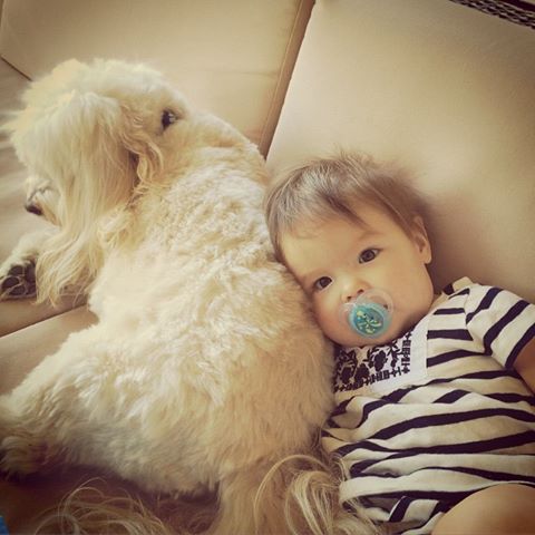 a baby leaning his head on a white dog
