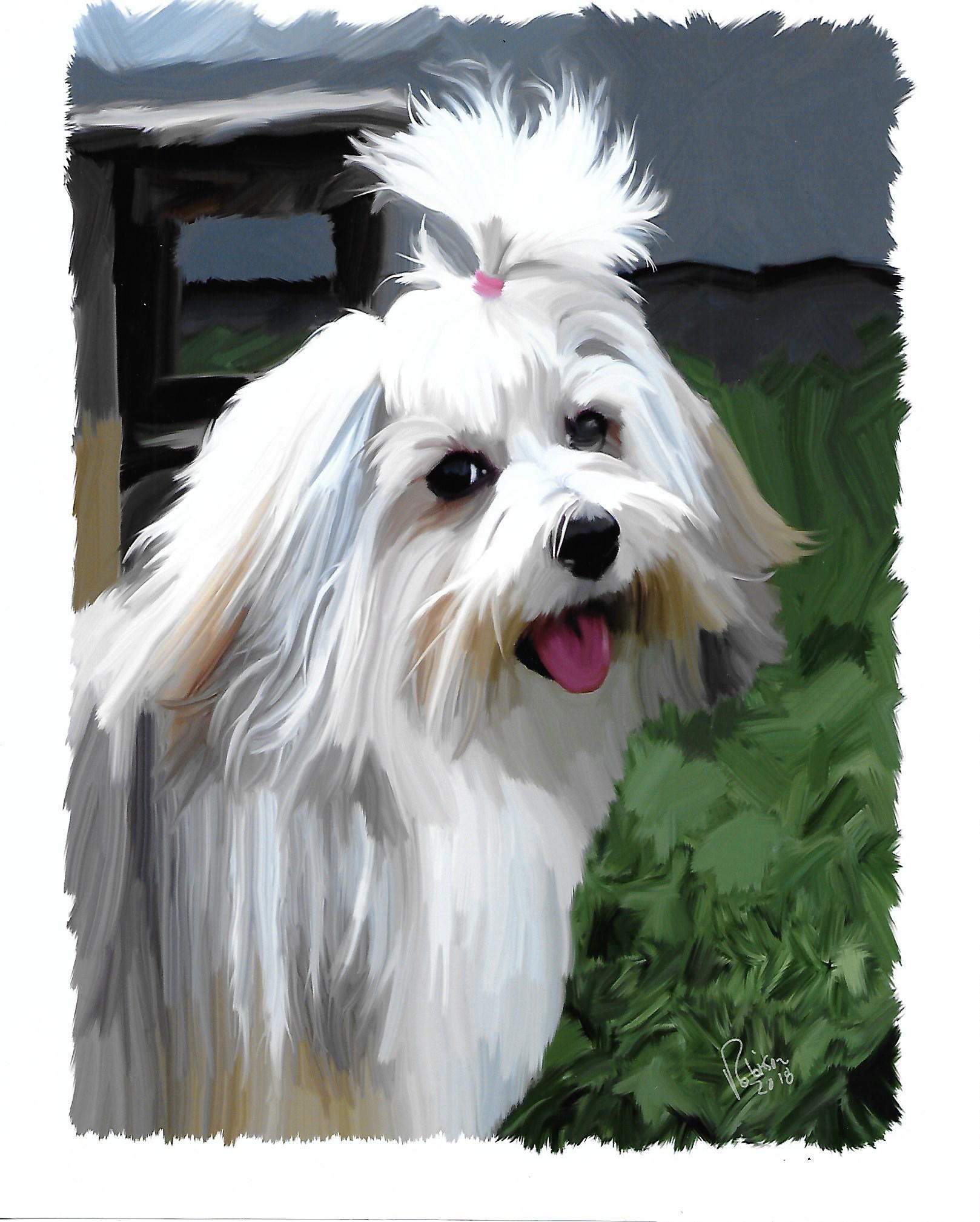 illustration of a dog with a long fur